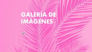 GALERÍA DE
IMÁGENES
 