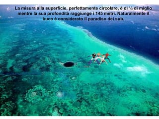 La misura alla superficie, perfettamente circolare, è di ¼ di miglio
mentre la sua profondità raggiunge i 145 metri. Naturalmente il
buco è considerato il paradiso dei sub.
 