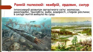 інтенсивний розвиток органічного світу: молюски,
ракоподібні, трилобіти, риби, водорості, спорові рослини;
в силурі життя вийшло на сушу
Ранній палеозой: кембрій, ордовик, силур
 