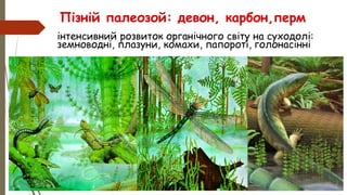 інтенсивний розвиток органічного світу на суходолі:
земноводні, плазуни, комахи, папороті, голонасінні
Пізній палеозой: девон, карбон,перм
 