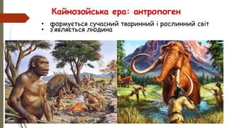 • формується сучасний тваринний і рослинний світ
• з’являється людина
Кайнозойська ера: антропоген
 