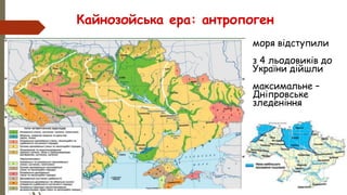 • моря відступили
• з 4 льодовиків до
України дійшли
• максимальне –
Дніпровське
зледеніння
Кайнозойська ера: антропоген
 