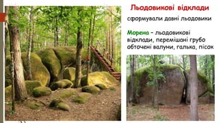 Льодовикові відклади
сформували давні льодовики
Морена – льодовикові
відклади, перемішані грубо
обточені валуни, галька, пісок
 