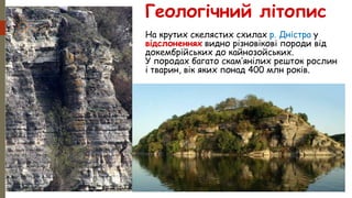 На крутих скелястих схилах р. Дністра у
відслоненнях видно різновікові породи від
докембрійських до кайнозойських.
У породах багато скам’янілих решток рослин
і тварин, вік яких понад 400 млн років.
Поширення
різних за
віком гірських
порід
Геологічний літопис
 