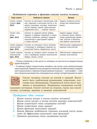 101
Кости и хрящи
Особенности строения и функции отделов скелета человека
Отдел скелета Особенности строения Функции
Скелет головы
(череп) (рис.
26.2)
Состоит из мозгового (затылочная, лоб-
ная, теменная и височные кости) и ли-
цевого (скуловые, носовая, челюстные
кости) отделов черепа. Единственная
подвижная кость — нижняя челюсть
Защита головного мозга,
опора для жевательных
мышц
Скелет туло-
вища
(рис. 26.3)
Состоит из грудной клетки (ребра,
грудина и грудные позвонки) и позво-
ночника (включает шейный, грудной,
поясничный и крестцовый отделы,
а также копчик)
Защита сердца, легких
и  спинного мозга, обеспе-
чение дыхательных движе-
ний, участие в обеспече-
нии работы конечностей
Скелет верхних
конечностей
(рис. 26.5)
Состоит из плечевого пояса (лопатки
и ключицы) и свободных верхних ко-
нечностей (плечо, предплечье, кисть)
Обеспечение подвижности
верхних конечностей
Скелет нижних
конечностей
(рис. 26.4)
Состоит из тазового пояса (тазовые ко-
сти) и свободных нижних конечностей
(бедро, голень, стопа)
Обеспечение подвижности
нижних конечностей
•  Только у приматов, в том числе и у человека, по три кости на каждом пальце, 
кроме большого.
•  В шейном отделе позвоночника человека, как почти у всех млекопитающих, 
семь позвонков. Первый из них называется атлантом. Он обеспечивает соедине-
ние позвоночника с черепом. Второй шейный позвонок — эпистрофей — снаб-
жен специальным выростом, служащим осью, вокруг которой вращается череп.
Скелет человека состоит из костей и хрящей. Кости
могут быть трубчатыми (длинными), короткими, пло-
скими или смешанными. Соединяться кости могут под-
вижно и неподвижно. Подвижные соединения костей
называют суставами. Скелет состоит из отделов, таких как скелет
головы, туловища, верхних и нижних конечностей.
Проверьте свои знания
1. Какие отделы входят в состав скелета человека?
2. Какие кости входят в состав скелета верхних конечностей?
3. Какие существуют типы соединения костей?
4. Какие существуют типы хряща?
5. Какие функции выполняют хрящи?
6*. Каким образом особенности строения плечевой кости позво-
ляют ей эффективно выполнять свои функции?
7*. Сравните различные типы соединения костей.
 
