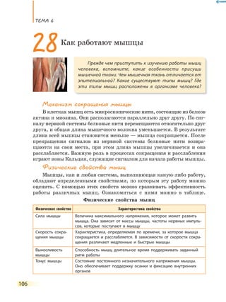 ТеМа 6
106
Механизм сокращения мышцы
В клетках мышц есть микроскопические нити, состоящие из белков
актина и миозина. Они располагаются параллельно друг другу. По сиг-
налу нервной системы белковые нити перемещаются относительно друг
друга, и общая длина мышечного волокна уменьшается. В результате
длина всей мышцы становится меньше — мышца сокращается. После
прекращения сигналов из нервной системы белковые нити возвра-
щаются на свои места, при этом длина мышцы увеличивается и она
расслабляется. Важную роль в процессах сокращения и расслабления
играют ионы Кальция, служащие сигналом для начала работы мышцы.
Физические свойства мышц
Мышцы, как и любая система, выполняющая какую-либо работу,
обладают определенными свойствами, по которым эту работу можно
оценить. С помощью этих свойств можно сравнивать эффективность
работы различных мышц. Ознакомиться с ними можно в таблице.
Физические свойства мышц
Физическое свойство Характеристика свойства
Сила мышцы Величина максимального напряжения, которое может развить
мышца. Она зависит от массы мышцы, частоты нервных импуль-
сов, которые поступают в мышцу
Скорость сокра-
щения мышцы
Характеристика, определяемая по времени, за которое мышца
сокращается и расслабляется. В зависимости от скорости сокра-
щения различают медленные и быстрые мышцы
Выносливость
мышцы
Способность мышц длительное время поддерживать заданный
ритм работы
Тонус мышцы Состояние постоянного незначительного напряжения мышцы.
Оно обеспечивает поддержку осанки и фиксацию внутренних
органов
Прежде чем приступить к изучению работы мышц
человека, вспомните, какие особенности присущи
мышечной ткани. Чем мышечная ткань отличается от
эпителиальной? Какие существуют типы мышц? Где
эти типы мышц расположены в организме человека?
28Как работают мышцы
 