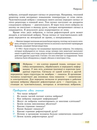 нейроны
117
нейрона, который передает сигнал от рецептора. Например, тепловой
рецептор кожи воспринял повышение температуры от огня свечи.
Чувствительный нейрон с помощью своего аксона передает сигнал от
этого рецептора в спинной мозг. Там сигнал поступает на дендриты
следующего нейрона — двигательного. И через тело этого нейрона по
аксону он поступает в мышцу руки, которая воспринимает сигнал и
сокращается. В результате рука отдергивается от огня.
Кроме этих двух нейронов, в состав рефлекторной дуги может
входить и вставочный нейрон. Тогда сигнал от чувствительного ней-
рона передается на моторный не прямо, а опосредованно.
•  Миелин придает волокнам аксонов белую окраску, поэтому части мозга чело-
века, которые состоят преимущественно из аксонов и выполняют проводящие
функции, называют белым веществом.
•  В 1992 г. были открыты так называемые зеркальные нейроны. Это нейроны, 
которые возбуждаются не только, когда человек (или животное) выполняет
какое-то действие, но и тогда, когда он просто наблюдает за выполнением этого
действия другим существом. Считают, что они отвечают за подражание. Такие
нейроны были обнаружены у людей, обезьян и некоторых птиц.
Нейроны — это клетки нервной ткани, которые спо-
собны воспринимать, обрабатывать и передавать инфор-
мацию. У них есть длинные (аксоны) и короткие (ден-
дриты) отростки. Сигналы от одной клетки к другой
передаются через структуры их мембран — синапсы. В организме
человека существует два основных типа синапсов — химические
и электрические. Для передачи сигналов от рецепторов к рабочим
органам нейроны образуют рефлекторные дуги — структуры, со-
стоящие из чувствительных, моторных и вставочных нейронов.
Проверьте свои знания
1. Что такое нейрон?
2. Из каких частей состоит клетка нейрона?
3. Как нейроны передают информацию?
4. Могут ли нейроны контактировать со многими клетками?
5. Зачем нужна миелиновая оболочка?
6. Каково строение синапса?
7. Какие бывают синапсы?
8. Каково строение рефлекторной дуги?
9*. Почему в организме человека больше химических синапсов?
10*. Зачем нужна рефлекторная дуга?
 