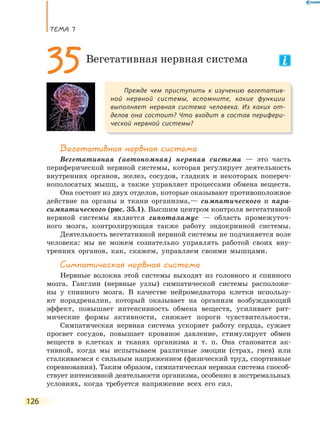 ТеМа 7
126
Вегетативная нервная система
Вегетативная (автономная) нервная система — это часть
периферической нервной системы, которая регулирует деятельность
внутренних органов, желез, сосудов, гладких и некоторых попереч-
нополосатых мышц, а также управляет процессами обмена веществ.
Она состоит из двух отделов, которые оказывают противоположное
действие на органы и ткани организма,— симпатического и пара-
симпатического (рис. 35.1). Высшим центром контроля вегетативной
нервной системы является гипоталамус — область промежуточ-
ного мозга, контролирующая также работу эндокринной системы.
Деятельность вегетативной нервной системы не подчиняется воле
человека: мы не можем сознательно управлять работой своих вну-
тренних органов, как, скажем, управляем своими мышцами.
Симпатическая нервная система
Нервные волокна этой системы выходят из головного и спинного
мозга. Ганглии (нервные узлы) симпатической системы расположе-
ны у спинного мозга. В качестве нейромедиатора клетки использу-
ют норадреналин, который оказывает на организм возбуждающий
эффект, повышает интенсивность обмена веществ, усиливает рит-
мические формы активности, снижает пороги чувствительности.
Симпатическая нервная система ускоряет работу сердца, сужает
просвет сосудов, повышает кровяное давление, стимулирует обмен
веществ в клетках и тканях организма и т. п. Она становится ак-
тивной, когда мы испытываем различные эмоции (страх, гнев) или
сталкиваемся с сильным напряжением (физический труд, спортивные
соревнования). Таким образом, симпатическая нервная система способ-
ствует интенсивной деятельности организма, особенно в экстремальных
условиях, когда требуется напряжение всех его сил.
Прежде чем приступить к изучению вегетатив-
ной нервной системы, вспомните, какие функции
выполняет нервная система человека. Из каких от-
делов она состоит? Что входит в состав перифери-
ческой нервной системы?
35Вегетативная нервная система
 