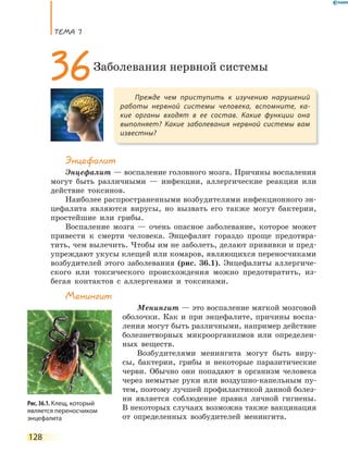 ТеМа 7
128
Энцефалит
Энцефалит — воспаление головного мозга. Причины воспаления
могут быть различными — инфекции, аллергические реакции или
действие токсинов.
Наиболее распространенными возбудителями инфекционного эн-
цефалита являются вирусы, но вызвать его также могут бактерии,
простейшие или грибы.
Воспаление мозга — очень опасное заболевание, которое может
привести к смерти человека. Энцефалит гораздо проще предотвра-
тить, чем вылечить. Чтобы им не заболеть, делают прививки и пред-
упреждают укусы клещей или комаров, являющихся переносчиками
возбудителей этого заболевания (рис. 36.1). Энцефалиты аллергиче-
ского или токсического происхождения можно предотвратить, из-
бегая контактов с аллергенами и токсинами.
Менингит
Менингит — это воспаление мягкой мозговой
оболочки. Как и при энцефалите, причины воспа-
ления могут быть различными, например действие
болезнетворных микроорганизмов или определен-
ных веществ.
Возбудителями менингита могут быть виру-
сы, бактерии, грибы и некоторые паразитические
черви. Обычно они попадают в организм человека
через немытые руки или воздушно-капельным пу-
тем, поэтому лучшей профилактикой данной болез-
ни является соблюдение правил личной гигиены.
В некоторых случаях возможна также вакцинация
от определенных возбудителей менингита.
Прежде чем приступить к изучению нарушений
работы нервной системы человека, вспомните, ка-
кие органы входят в ее состав. Какие функции она
выполняет? Какие заболевания нервной системы вам
известны?
36Заболевания нервной системы
Рис. 36.1. Клещ, который
является переносчиком
энцефалита
 