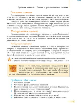 Организм человека. Органы и физиологические системы
13
Сенсорные системы
Составляющими сенсорных систем являются органы чувств: зре-
ния, слуха, обоняния, вкуса, осязания, равновесия. Эти системы
отвечают за поступление в организм информации из внешней среды.
Ведущую роль среди сенсорных систем человека играет зрение.
Основную часть информации об окружающем мире человек получает
именно благодаря своим органам зрения. Однако другие системы не
менее важны для жизнедеятельности человека.
Репродуктивная система
Репродуктивная система включает органы, которые обеспечивают
процессы размножения человека. Половые органы мужчин и женщин
отличаются друг от друга, но в процессе развития организма они
образуются из одних зачатков.
иммунная система
Иммунная система объединяет органы и клетки, которые уча-
ствуют в поддержании постоянства внутренней среды организма,
и обеспечивает его защиту от болезнетворных бактерий и вирусов.
В состав этой системы входят костный мозг, загрудинная железа
(тимус), селезенка и лимфатические узлы.
•  Среди животных наибольшее количество лицевых мышц — у человека.
•  Головной мозг человека содержит 80 % воды, мышцы — 76 %, а кости — 25 %.
Орган — это часть тела, имеющая определенную фор-
му и строение и выполняющая одну или несколько
специфических функций. Для того чтобы обеспечить
выполнение всех необходимых организму функций,
органы объединяются в физиологические системы.
Проверьте свои знания
1. Что такое орган?
2. Что такое физиологическая система?
3. Какие функции выполняет система: а) нервная; б) дыхатель-
ная; в) выделительная; г) кровеносная?
4. Какие органы входят в состав системы: а) пищеварительной;
б) кровеносной; в) опорно-двигательной?
5*. Почему органы человека объединены в системы?
6*. Составьте классификацию тканей человека в виде схемы.
 
