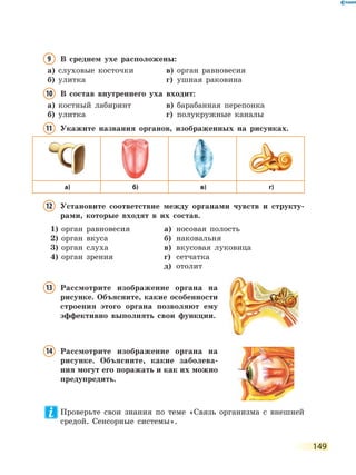 149
9 В среднем ухе расположены:
а) слуховые косточки в) орган равновесия
б) улитка г) ушная раковина
10 В состав внутреннего уха входит:
а) костный лабиринт в) барабанная перепонка
б) улитка г) полукружные каналы
11 Укажите названия органов, изображенных на рисунках.
а) б) в) г)
12 Установите соответствие между органами чувств и структу-
рами, которые входят в их состав.
1) орган равновесия
2) орган вкуса
3) орган слуха
4) орган зрения
а) носовая полость
б) наковальня
в) вкусовая луковица
г) сетчатка
д) отолит
13 Рассмотрите изображение органа на
рисунке. Объясните, какие особенности
строения этого органа позволяют ему
эффективно выполнять свои функции.
14 Рассмотрите изображение органа на
рисунке. Объясните, какие заболева-
ния могут его поражать и как их можно
предупредить.
Проверьте свои знания по теме «Связь организма с внешней
средой. Сенсорные системы».
 