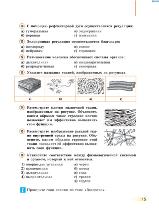15
10 С помощью рефлекторной дуги осуществляется регуляция:
а) гуморальная в) эндокринная
б) нервная г) иммунная
11 Эндокринная регуляция осуществляется благодаря:
а) кислороду в) слюне
б) нейронам г) гормонам
12 Размножение человека обеспечивает система органов:
а) дыхательная в) пищеварительная
б) репродуктивная г) сенсорная
13 Укажите названия тканей, изображенных на рисунках.
а) б) в) г)
14 Рассмотрите клетки мышечной ткани,
изображенные на рисунке. Объясните,
каким образом такое строение клеток
позволяет им эффективно выполнять
свои функции.
15 Рассмотрите изображение рыхлой тка-
ни внутренней среды на рисунке. Объ-
ясните, каким образом строение этой
ткани позволяет ей эффективно выпол-
нять свои функции.
16 Установите соответствие между физиологической системой
и органом, который к ней относится.
1) опорно-двигательная а) череп
2) кровеносная б) почка
3) дыхательная в) глаз
4) выделительная г) трахея
д) сердце
Проверьте свои знания по теме «Введение».
 