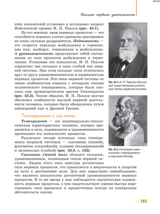 Высшая нервная деятельность
151
этих показателей установил и исследовал лауреат
Нобелевской премии И. П. Павлов (рис. 43.1).
По его мнению, сила нервных процессов — это
способность нервных клеток адекватно реагировать
на очень сильные раздражители. Подвижность —
это скорость перехода возбуждения в торможе-
ние или, наоборот, торможения в возбуждение.
А  уравновешенность представляет собой соотно-
шение по силе процессов возбуждения и тормо-
жения. Установив эти показатели, И.  П.  Павлов
определил три сильных и один слабый тип нерв-
ной системы. При этом сильные типы отличались
друг от друга уравновешенностью и подвижностью
нервных процессов. Эти типы нервной системы по
своим особенностям совпали с четырьмя типами
человеческого темперамента, которые были опи-
саны еще древнегреческим врачом Гиппократом
(рис. 43.2). Таким образом, И. П. Павлов научно
обосновал особенности высшей нервной деятель-
ности человека, которые были обнаружены путем
наблюдений еще в Древней Греции.
Темперамент и его типы
Темперамент — это индивидуально-типоло-
гическая характеристика человека, которая про-
является в силе, подвижности и уравновешенности
протекания его психических процессов.
Различают четыре основных типа темпера-
мента (нервной системы) — сангвиник (живой),
флегматик (спокойный), холерик (несдержанный)
и меланхолик (слабый) (рис. 43.3, с. 152).
Сангвиник (живой тип) обладает сильным,
уравновешенным, подвижным типом нервной си-
стемы. Людям этого типа присуща достаточная
сила нервных процессов, что проявляется в энергичности и упорстве
на пути к достижению цели. Для них характерно самообладание,
что является показателем достаточной уравновешенности нервных
процессов. В то же время у них наблюдается значительная подвиж-
ность нервных процессов, о чем свидетельствует умение быстро пере-
страивать свои привычки и предпочтения исходя из конкретных
обстоятельств жизни.
Рис. 43.1. И. П. Павлов обосно-
вал существование различ-
ных типов нервной системы
Рис. 43.2. Гиппократ ввел
понятие «темперамент»
в научный обиход
 