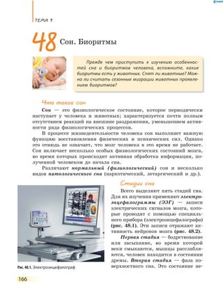 ТеМа 9
166
Что такое сон
Сон — это физиологическое состояние, которое периодически
наступает у человека и животных; характеризуется почти полным
отсутствием реакций на внешние раздражения, уменьшением актив-
ности ряда физиологических процессов.
В процессе жизнедеятельности человека сон выполняет важную
функцию восстановления физических и психических сил. Однако
это отнюдь не означает, что мозг человека в это время не работает.
Сон включает несколько особых физиологических состояний мозга,
во время которых происходит активная обработка информации, по-
лученной человеком до начала сна.
Различают нормальный (физиологический) сон и несколько
видов патологического сна (наркотический, летаргический и др.).
Стадии сна
Всего выделяют пять стадий сна.
Для их изучения применяют электро-
энцефалограммы (ЭЭГ) — записи
электрических сигналов мозга, кото-
рые проводят с помощью специаль-
ного прибора (электроэнцефалографа)
(рис. 48.1). Эти записи отражают ак-
тивность нейронов мозга (рис. 48.2).
Первая стадия — бодрствование
или засыпание, во время которой
веки смыкаются, мышцы расслабля-
ются, человек находится в состоянии
дремы. Вторая стадия — фаза по-
верхностного сна. Это состояние не-
Прежде чем приступить к изучению особеннос-
тей сна и биоритмов человека, вспомните, какие
биоритмы есть у животных. Спят ли животные? Мож-
но ли считать сезонные миграции животных проявле-
нием биоритмов?
48Сон. Биоритмы
Рис. 48.1. Электроэнцефалограф
 