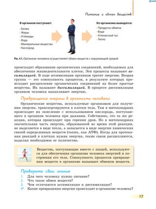Питание и обмен веществ
17
происходит образование органических соединений, необходимых для
обеспечения жизнедеятельности клеток. Эти процессы называют ас-
симиляцией. В ходе ассимиляции организм тратит энергию. Вторая
группа — это совокупность процессов, в результате которых про-
исходит расщепление органических соединений на более простые
вещества. Их называют диссимиляцией. В процессе диссимиляции
организм человека накапливает энергию.
Превращение энергии в организме человека
Органические вещества, используемые организмом для получе-
ния энергии, транспортируются в клетки тела. Там в митохондриях
происходит их окисление с использованием кислорода, поступаю-
щего в организм человека при дыхании. Собственно, это та же ре-
акция, которая происходит при горении дров. Но в митохондриях
значительная часть энергии, образованной во время этой реакции,
не выделяется в виде тепла, а запасается в виде энергии химических
связей определенных веществ (таких, как АТФ). Когда для протека-
ния реакций в клетках нужна энергия, такие связи расщепляются,
выделяя необходимое ее количество.
Вещества, поступающие вместе с пищей, используют-
ся для обеспечения организма человека энергией и по-
строения его тела. Совокупность процессов превраще-
ния веществ в организме называют обменом веществ.
Проверьте свои знания
1. Для чего человеку нужно питание?
2. Что такое обмен веществ?
3. Чем отличаются ассимиляция и диссимиляция?
4*. Какие превращения энергии происходят в организме человека?
Рис. 4.1. Организм человека осуществляет обмен веществ с окружающей средой
В организм поступают:
• Белки
• Жиры
• Углеводы
• Вода
• Минеральные вещества
• Кислород
Из организма выводятся:
• Продукты обмена
• Вода
• Углекислый газ
• Тепло
Минеральные вещества
 