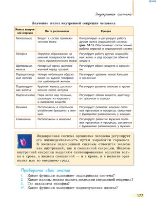 Эндокринная система
177
Значение желез внутренней секреции человека
Железа внутрен-
ней секреции
Место расположения Функции
Гипоталамус Входит в состав промежу-
точного мозга
Контролирует и регулирует работу
других желез эндокринной системы
(рис. 51.1). Обеспечивает согласование
работы нервной и эндокринной систем
Гипофиз Округлое образование на
нижней поверхности мозга
(часть промежуточного мозга)
Регулирует работу других эндокрин-
ных желез и ряд процессов обмена
веществ
Щитовидная
железа
Непарный орган, располо-
женный перед трахеей
Регулирует обмен веществ в организ-
ме
Паращитовид-
ные железы
Четыре небольших образо-
вания на задней поверхно-
сти щитовидной железы
Регулируют уровень ионов Кальция
в  организме
Поджелудоч-
ная железа
Крупная железа, располо-
женная около желудка
Регулирует уровень глюкозы в крови
Надпочечники Пара желез над почками,
состоящих из коркового
и  мозгового веществ
Регулируют обмен веществ, адаптиру-
ют организм к стрессу
Яичники Расположены в отдельном
углублении брюшины у  жен-
щин
Регулируют развитие женских поло-
вых признаков и процессы, связанные
с  функциями размножения, у женщин
Семенники Расположены в мошонке Регулируют развитие мужских поло-
вых признаков и процессы, связанные
с  функциями размножения, у мужчин
Эндокринная система организма человека регулирует
его жизнедеятельность путем выработки гормонов.
К железам эндокринной системы относятся железы
как внутренней, так и смешанной секреции. Железы
внутренней секреции выделяют синтезированные вещества толь-
ко в кровь, а железы смешанной — и в кровь, и в полости орга-
низма или во внешнюю среду.
Проверьте свои знания
1. Какие функции выполняет эндокринная система?
2. Какие железы можно назвать железами смешанной секреции?
3. Где находится гипофиз?
4*. Какие функции выполняет поджелудочная железа?
 