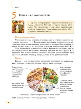 ТеМа 1
18
Компоненты пищи
Основные группы веществ, участвующих в обмене веществ в ор-
ганизме человека,— это белки, жиры, углеводы, неорганические со-
единения (вода и минеральные вещества), витамины. Они содержатся
почти во всех продуктах питания в разных количествах (рис. 5.1).
Для нормальной жизнедеятельности организма человеку требу-
ется определенное количество веществ каждой из этих групп. Как
нехватка, так и переизбыток любого из веществ может нанести вред
здоровью. Именно поэтому пища должна быть разнообразной.
Белки
Белки — это органические молекулы, состоящие из аминокис-
лот, которые соединены между собой в виде цепочки.
Прежде чем приступить к изучению компонентов
пищи, вспомните, для чего она нужна нашему орга-
низму. Как называется совокупность превращений
веществ в организме? Какие органеллы клеток обес-
печивают запасание энергии?
5 Пища и ее компоненты
Рис. 5.1. Компоненты пищи: белки, жиры, углеводы, витамины
Много водорас-
творимых вита-
минов содержит-
ся во фруктах
и овощах
Основные источ-
ники минеральных
веществ — пова-
ренная соль,
фрукты, овощи,
молочные продук-
ты и т. д.
Жиры есть в сливочном и растительном масле, орехах
Мясо, рыба, яйца
обогатят ваш ор-
ганизм белками
Кондитерские
изделия и выпеч-
ка — продукты
с наибольшим
содержанием
углеводов
 