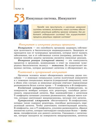 ТеМа 10
182
иммунитет и иммунные реакции организма
Иммунитет — это способность организма защищать собствен-
ную целостность и биологическую индивидуальность. Защищать ее
приходится как от чужеродных организмов, которые могут вызвать
заболевания, так и от собственных клеток (например, раковых). Ос-
новным способом защиты организма являются иммунные реакции.
Иммунная реакция (иммунный ответ) — это совокупность
процессов в организме, возникающих в ответ на появление чуже-
родных биологических молекул — антигенов. Ее осуществляет им-
мунная система, которая распознает антигены и обезвреживает их.
Клеточный и гуморальный иммунитет
Организм человека может обезвреживать антигены двумя спо-
собами — с помощью специальных клеток (клеточный иммунитет)
и с помощью специальных веществ (гуморальный иммунитет), хотя
в обоих этих случаях за иммунные реакции отвечают определенные
разновидности белых клеток крови — Т-лимфоциты и В-лимфоциты.
Клеточный иммунитет обеспечивается Т-лимфоцитами, на
поверхности мембран которых есть рецепторы, способные распо-
знавать определенный антиген. При взаимодействии с антигеном
Т-лимфоциты начинают усиленно размножаться, образуя много кле-
ток, которые уничтожают микроорганизмы, несущие этот антиген.
Гуморальный иммунитет обеспечивается В-лимфоцитами,
которые также содержат рецепторы, способные распознавать опре-
деленный антиген. Чтобы уничтожить соответствующий антиген,
В-лимфоциты, как и Т-лимфоциты, усиленно размножаются, образуя
множество клеток, которые синтезируют специальные белки — анти-
тела, специфические для данного антигена. Связываясь с антигена-
ми, которые находятся на поверхности микроорганизмов, антитела
Прежде чем приступить к изучению иммунной
системы человека, вспомните, какие системы обеспе-
чивают регуляцию работы органов человека. Как  ра-
ботает эндокринная система? Как осуществляет
процессы регуляции нервная система?
53Иммунная система. Иммунитет
 