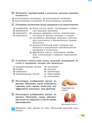 189
10	Иммунитет, приобретенный в результате введения вакцины,
называется:
а)	 естественным пассивным	 в)	 естественным активным
б)	 искусственным пассивным	 г)	 искусственным активным
11	Установите соответствие между терминами и их определениями.
1)	 тромбоциты
2)	 эритроциты
3)	 иммунитет
4)	 лейкоциты
а)	белые клетки крови, участвующие в иммун-
ных реакциях организма
б)	красные кровяные клетки, переносящие
кислород от органов дыхания к тканям
в)	способность организма защищать собствен-
ную целостность и биологическую индиви-
дуальность
г)	иммунологический ответ, который про-
является в повышенной чувствительности
организма к аллергенам
д)	фрагменты клеток, окруженные мембра-
ной, участвующие в процессе свертывания
крови
12	Установите соответствие между железами эндокринной си-
стемы и гормонами, которые они производят.
1)	 паращитовидные железы
2)	 эпифиз
3)	 семенники
4)	 поджелудочная железа
а)	 мелатонин
б)	 инсулин
в)	 прогестерон
г)	 паратгормон
д)	 тестостерон
13	Рассмотрите изображение органа на
рисунке. Объясните, какие особенности
строения этого органа позволяют ему
эффективно выполнять свои функции.
14	Рассмотрите изображение органа на
рисунке. Объясните, какие заболева-
ния могут его поражать и как их можно
предотвратить.
Проверьте свои знания по теме «Регуляция функций орга-
низма».
Поджелудочная
железа
Щитовидная железа
 