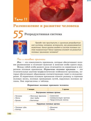 190
Пол и половые признаки
Пол — это совокупность признаков, которые обеспечивают поло-
вое размножение и отличают мужские и женские особи одного вида.
Между собой особи разного пола отличаются по первичным и вто-
ричном половым признакам. Первичные половые признаки — это
отличительные анатомо-морфологические особенности организма, ко-
торые обеспечивают образование соответствующих гамет и оплодотво-
рение. К первичным половым признакам относят разницу в строении
половых желез, половых проводящих путей, наружных половых ор-
ганов. Они перечислены в таблице.
Первичные половые признаки человека
У женщин У мужчин
внутренние половые органы
•  Яичники •  Маточные  (фаллопи- 
•  Матка  евы)  трубы
•  Вульва •  Влагалище
•  Семенники
•  Семявыносящие  протоки
•  Предстательная  железа
наружные половые органы
•  Половые  губы
•  Клитор
•  Мошонка
•  Пенис
Прежде чем приступить к изучению репродуктив-
ной системы человека, вспомните, как размножаются
животные. Какие органы входят в состав половых сис-
тем позвоночных? Какие гормоны влияют на развитие
половых признаков человека?
55Репродуктивная система
Тема 11
Размножение и развитие человека
 