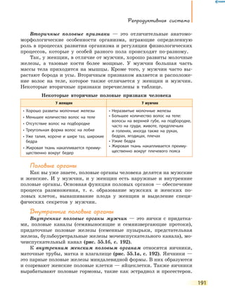 Репродуктивная система
191
Вторичные половые признаки — это отличительные анатомо-
морфологические особенности организма, играющие определенную
роль в процессах развития организма и регуляции физиологических
процессов, которые у особей разного пола происходят по-разному.
Так, у женщин, в отличие от мужчин, хорошо развиты молочные
железы, а тазовые кости более мощные. У мужчин большая часть
массы тела приходится на мышцы. Кроме того, у мужчин часто вы-
растают борода и усы. Вторичным признаком является и расположе-
ние волос на теле, которое также отличается у женщин и мужчин.
Некоторые вторичные признаки перечислены в таблице.
Некоторые вторичные половые признаки человека
У женщин У мужчин
• Хорошо развиты молочные железы
• Меньшее количество волос на теле
• Отсутствие волос на подбородке
• Треугольная форма волос на лобке
• Уже талия, короче и шире таз, широкие
бедра
• Жировая ткань накапливается преиму-
щественно вокруг бедер
• Неразвитые молочные железы
• Большее количество волос на теле:
волосы на верхней губе, на подбородке,
часто на груди, животе, предплечьях
и  голенях, иногда также на руках,
бедрах, ягодицах, плечах
• Узкие бедра
• Жировая ткань накапливается преиму-
щественно вокруг плечевого пояса
Половые органы
Как вы уже знаете, половые органы человека делятся на мужские
и женские. И у мужчин, и у женщин есть наружные и внутренние
половые органы. Основная функция половых органов — обеспечение
процесса размножения, т. е. образование мужских и женских по-
ловых клеток, вынашивание плода у женщин и выделение специ­
фических секретов у мужчин.
Внутренние половые органы
Внутренние половые органы мужчин — это яички с придатка-
ми, половые каналы (семявыносящие и семяизвергающие протоки),
придаточные половые железы (семенные пузырьки, предстательная
железа, бульбоуретральные железы мочеиспускательного канала), мо-
чеиспускательный канал (рис. 55.1б, с. 192).
К внутренним женским половым органам относятся яичники,
маточные трубы, матка и влагалище (рис. 55.1а, с. 192). Яичники —
это парные половые железы миндалевидной формы. В них образуются
и созревают женские половые клетки — яйцеклетки. Также яичники
вырабатывают половые гормоны, такие как эстрадиол и прогестерон.
 