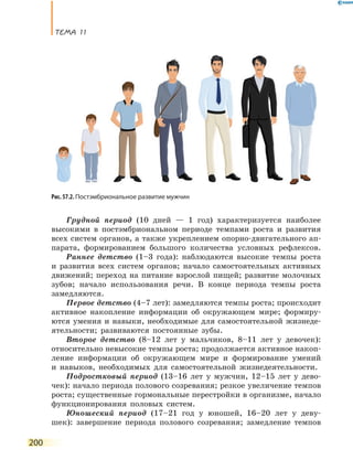 ТеМа 11
200
Грудной период (10 дней — 1 год) характеризуется наиболее
высокими в постэмбриональном периоде темпами роста и развития
всех систем органов, а также укреплением опорно-двигательного ап-
парата, формированием большого количества условных рефлексов.
Раннее детство (1–3 года): наблюдаются высокие темпы роста
и развития всех систем органов; начало самостоятельных активных
движений; переход на питание взрослой пищей; развитие молочных
зубов; начало использования речи. В конце периода темпы роста
замедляются.
Первое детство (4–7 лет): замедляются темпы роста; происходит
активное накопление информации об окружающем мире; формиру-
ются умения и навыки, необходимые для самостоятельной жизнеде-
ятельности; развиваются постоянные зубы.
Второе детство (8–12 лет у мальчиков, 8–11 лет у девочек):
относительно невысокие темпы роста; продолжается активное накоп-
ление информации об окружающем мире и формирование умений
и навыков, необходимых для самостоятельной жизнедеятельности.
Подростковый период (13–16 лет у мужчин, 12–15 лет у дево-
чек): начало периода полового созревания; резкое увеличение темпов
роста; существенные гормональные перестройки в организме, начало
функционирования половых систем.
Юношеский период (17–21 год у юношей, 16–20 лет у деву-
шек): завершение периода полового созревания; замедление темпов
Рис. 57.2. Постэмбриональное развитие мужчин
 