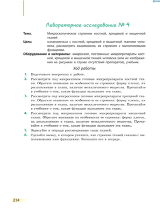 214
Лабораторное исследование № 4
Тема.	 Микроскопическое строение костной, хрящевой и мышечной
тканей
Цель:	 ознакомиться с костной, хрящевой и мышечной тканями чело-
века, рассмотреть взаимосвязь их строения с выполняемыми
функциями.
Оборудование и материалы:	 микроскоп, постоянные микропрепараты кост-
ной, хрящевой и мышечной тканей человека (или их изображе-
ния на рисунках в случае отсутствия препаратов), учебник.
Ход работы
	1.	 Подготовьте микроскоп к работе.
	2.	 Рассмотрите под микроскопом готовые микропрепараты костной тка-
ни. Обратите внимание на особенности ее строения: форму клеток, их
расположение в ткани, наличие межклеточного вещества. Прочитайте
в учебнике о том, какие функции выполняет эта ткань.
	3.	 Рассмотрите под микроскопом готовые микропрепараты хрящевой тка-
ни. Обратите внимание на особенности ее строения: форму клеток, их
расположение в ткани, наличие межклеточного вещества. Прочитайте
в учебнике о том, какие функции выполняет эта ткань.
	4.	 Рассмотрите под микроскопом готовые микропрепараты мышечной
ткани. Обратите внимание на особенности ее строения: форму клеток,
их расположение в ткани, наличие межклеточного вещества. Прочи-
тайте в учебнике о том, какие функции выполняет эта ткань.
	5.	 Зарисуйте в тетради рассмотренные типы тканей.
	6.	 Сделайте вывод, в котором укажите, как строение тканей связано с вы-
полняемыми ими функциями. Запишите его в тетрадь.
 