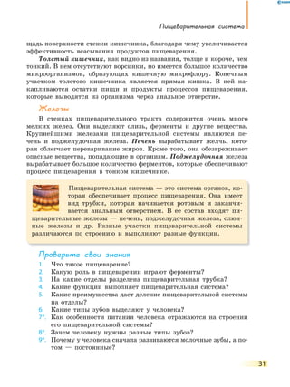 Пищеварительная система
31
щадь поверхности стенки кишечника, благодаря чему увеличивается
эффективность всасывания продуктов пищеварения.
Толстый кишечник, как видно из названия, толще и короче, чем
тонкий. В нем отсутствуют ворсинки, но имеется большое количество
микроорганизмов, образующих кишечную микрофлору. Конечным
участком толстого кишечника является прямая кишка. В ней на-
капливаются остатки пищи и продукты процессов пищеварения,
которые выводятся из организма через анальное отверстие.
Железы
В стенках пищеварительного тракта содержится очень много
мелких желез. Они выделяют слизь, ферменты и другие вещества.
Крупнейшими железами пищеварительной системы являются пе-
чень и поджелудочная железа. Печень вырабатывает желчь, кото-
рая облегчает переваривание жиров. Кроме того, она обезвреживает
опасные вещества, попадающие в организм. Поджелудочная железа
вырабатывает большое количество ферментов, которые обеспечивают
процесс пищеварения в тонком кишечнике.
Пищеварительная система — это система органов, ко-
торая обеспечивает процесс пищеварения. Она имеет
вид трубки, которая начинается ротовым и заканчи-
вается анальным отверстием. В ее состав входят пи-
щеварительные железы — печень, поджелудочная железа, слюн-
ные железы и др. Разные участки пищеварительной системы
различаются по строению и выполняют разные функции.
Проверьте свои знания
1. Что такое пищеварение?
2. Какую роль в пищеварении играют ферменты?
3. На какие отделы разделена пищеварительная трубка?
4. Какие функции выполняет пищеварительная система?
5. Какие преимущества дает деление пищеварительной системы
на отделы?
6. Какие типы зубов выделяют у человека?
7*. Как особенности питания человека отражаются на строении
его пищеварительной системы?
8*. Зачем человеку нужны разные типы зубов?
9*. Почему у человека сначала развиваются молочные зубы, а по-
том — постоянные?
 