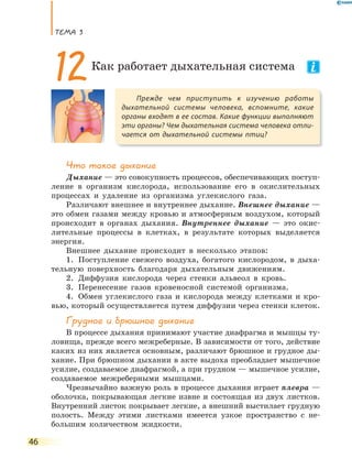 ТеМа 3
46
Что такое дыхание
Дыхание — это совокупность процессов, обеспечивающих поступ-
ление в организм кислорода, использование его в окислительных
процессах и удаление из организма углекислого газа.
Различают внешнее и внутреннее дыхание. Внешнее дыхание —
это обмен газами между кровью и атмосферным воздухом, который
происходит в органах дыхания. Внутреннее дыхание — это окис-
лительные процессы в клетках, в результате которых выделяется
энергия.
Внешнее дыхание происходит в несколько этапов:
1. Поступление свежего воздуха, богатого кислородом, в дыха-
тельную поверхность благодаря дыхательным движениям.
2. Диффузия кислорода через стенки альвеол в кровь.
3. Перенесение газов кровеносной системой организма.
4. Обмен углекислого газа и кислорода между клетками и кро-
вью, который осуществляется путем диффузии через стенки клеток.
Грудное и брюшное дыхание
В процессе дыхания принимают участие диафрагма и мышцы ту-
ловища, прежде всего межреберные. В зависимости от того, действие
каких из них является основным, различают брюшное и грудное ды-
хание. При брюшном дыхании в акте выдоха преобладает мышечное
усилие, создаваемое диафрагмой, а при грудном — мышечное усилие,
создаваемое межреберными мышцами.
Чрезвычайно важную роль в процессе дыхания играет плевра —
оболочка, покрывающая легкие извне и состоящая из двух листков.
Внутренний листок покрывает легкие, а внешний выстилает грудную
полость. Между этими листками имеется узкое пространство с не-
большим количеством жидкости.
Прежде чем приступить к изучению работы
дыхательной системы человека, вспомните, какие
органы входят в ее состав. Какие функции выполняют
эти органы? Чем дыхательная система человека отли-
чается от дыхательной системы птиц?
12Как работает дыхательная система
 