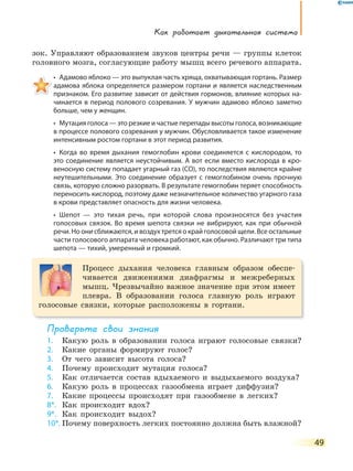 Как работает дыхательная система
49
зок. Управляют образованием звуков центры речи — группы клеток
головного мозга, согласующие работу мышц всего речевого аппарата.
•  Адамово яблоко — это выпуклая часть хряща, охватывающая гортань. Размер 
адамова яблока определяется размером гортани и является наследственным
признаком. Его развитие зависит от действия гормонов, влияние которых на-
чинается в период полового созревания. У мужчин адамово яблоко заметно
больше, чем у женщин.
•  Мутация голоса — это резкие и частые перепады высоты голоса, возникающие 
в процессе полового созревания у мужчин. Обусловливается такое изменение
интенсивным ростом гортани в этот период развития.
•  Когда во время дыхания гемоглобин крови соединяется с кислородом, то 
это соединение является неустойчивым. А вот если вместо кислорода в кро-
веносную систему попадает угарный газ (СО), то последствия являются крайне
неутешительными. Это соединение образует с гемоглобином очень прочную
связь, которую сложно разорвать. В результате гемоглобин теряет способность
переносить кислород, поэтому даже незначительное количество угарного газа
в крови представляет опасность для жизни человека.
•  Шепот  —  это  тихая  речь,  при  которой  слова  произносятся  без  участия 
голосовых связок. Во время шепота связки не вибрируют, как при обычной
речи. Но они сближаются, и воздух трется о край голосовой щели. Все остальные
части голосового аппарата человека работают, как обычно. Различают три типа
шепота — тихий, умеренный и громкий.
Процесс дыхания человека главным образом обеспе-
чивается движениями диафрагмы и межреберных
мышц. Чрезвычайно важное значение при этом имеет
плевра. В образовании голоса главную роль играют
голосовые связки, которые расположены в гортани.
Проверьте свои знания
1. Какую роль в образовании голоса играют голосовые связки?
2. Какие органы формируют голос?
3. От чего зависит высота голоса?
4. Почему происходит мутация голоса?
5. Как отличается состав вдыхаемого и выдыхаемого воздуха?
6. Какую роль в процессах газообмена играет диффузия?
7. Какие процессы происходят при газообмене в легких?
8*. Как происходит вдох?
9*. Как происходит выдох?
10*. Почему поверхность легких постоянно должна быть влажной?
 