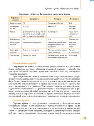 Группы крови. Переливание крови
63
Основные свойства форменных элементов крови
Форменные
элементы
Эритроциты Лейкоциты Тромбоциты
Диаметр, мкм 7,5 Сильно колеблется 2–5
Количество
в 1 мм3
4–5 • 106
4000–9000 180  000–
320  000
Форма Двояковогнутый диск, что по-
зволяет очень быстро погло-
щать и выделять кислород
Амебоидная Чаще всего
неправиль-
ная
Ядро клетки Нет Есть Обычно нет
Место обра-
зования
Красный костный мозг Красный костный мозг,
лимфатические узлы,
селезенка
Красный
костный
мозг
Место раз-
рушения
Печень и селезенка Печень, лимфатические
узлы, селезенка
Печень
и селезенка
Срок жизни Около 120 дней От нескольких дней до
нескольких десятилетий
8–11 дней
Свертывание крови
Свертывание крови — это процесс формирования в крови нитей
белка фибрина, которые образуют кровяной сгусток — тромб. Это
довольно сложный процесс, представляющий собой ряд последова-
тельных реакций.
При повреждении стенки кровеносного сосуда происходит разру-
шение тромбоцитов, из которых наружу выходит белок тромбопластин.
Этот белок является ферментом, т. е. катализатором биохимических
реакций. Он взаимодействует с одним из белков плазмы — протромби-
ном, превращая его в тромбин. Тот, в свою очередь, взаимодействует
с другим белком плазмы — фибриногеном — и превращает его в фи-
брин, представляющий собой длинные нити. Эти нити перепутываются
между собой и образуют клубочек — тромб, который перекрывает по-
врежденный участок и предотвращает вытекание крови из организма.
Группы крови
Группы крови — это признаки, связанные с биохимическими
свойствами крови и обусловленные наследственностью (рис. 16.2).
Разделение на группы основывается на наличии в крови анти-
генов — специфических веществ, которые вызывают реакцию иммун-
ной системы и позволяют различать кровь людей по определенным
 