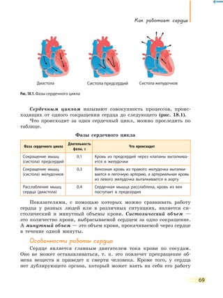 Как работает сердце
69
Сердечным циклом называют совокупность процессов, проис-
ходящих от одного сокращения сердца до следующего (рис. 18.1).
Что происходит за один сердечный цикл, можно проследить по
таблице.
Фазы сердечного цикла
Фаза сердечного цикла
Длительность
фазы, с
Что происходит
Сокращение мышц
(систола) предсердий
0,1 Кровь из предсердий через клапаны выталкива-
ется в желудочки
Сокращение мышц
(систола) желудочков
0,3 Венозная кровь из правого желудочка выталки­
вается в легочную артерию, а артериальная кровь
из левого желудочка выталкивается в аорту
Расслабление мышц
сердца (диастола)
0,4 Сердечная мышца расслаблена, кровь из вен
поступает в предсердия
Показателями, с помощью которых можно сравнивать работу
сердца у разных людей или в различных ситуациях, является си-
столический и минутный объемы крови. Систолический объем —
это количество крови, выбрасываемой сердцем за одно сокращение.
А минутный объем — это объем крови, прокачиваемой через сердце
в течение одной минуты.
Особенности работы сердца
Сердце является главным двигателем тока крови по сосудам.
Оно не может останавливаться, т. к. это повлечет прекращение об-
мена веществ и приведет к смерти человека. Кроме того, у сердца
нет дублирующего органа, который может взять на себя его работу
Систола предсердийДиастола Систола желудочков
Рис. 18.1. Фазы сердечного цикла
 