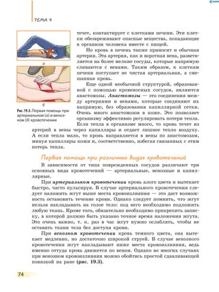 Тема 4
74
течет, контактирует с клетками печени. Эти клет-
ки обезвреживают опасные вещества, попадающие
в  организм человека вместе с пищей.
Но кровь в печень также приносит и обычная
артерия. Эта артерия, как и воротная вена, разветв­
ляется на более мелкие сосуды, которые напрямую
сливаются с венами. Таким образом, к клеткам
печени поступает не чистая артериальная, а сме-
шанная кровь.
Еще одной необычной структурой, образован-
ной с помощью кровеносных сосудов, являются
анастомозы. Анастомозы — это соединения меж-
ду артериями и венами, которые соединяют их
напрямую, без образования капиллярной сетки.
Очень много анастомозов в коже. Это позволяет
организму эффективно регулировать потери тепла.
Если тепла в организме много, то кровь течет из
артерий в вены через капилляры и отдает лишнее тепло воздуху.
А если тепла мало, то кровь направляется в вены по анастомозам,
минуя капилляры кожи и, соответственно, избегая связанных с этим
потерь тепла.
Первая помощь при различных видах кровотечений
В зависимости от типа поврежденных сосудов различают три
основных вида кровотечений — артериальные, венозные и капил-
лярные.
При артериальном кровотечении кровь алого цвета и вытекает
быстро, часто пульсируя. В случае артериального кровотечения сле-
дует наложить жгут выше места кровоизлияния — это даст возмож-
ность остановить течение крови. Однако следует помнить, что жгут
нельзя накладывать на голое тело: под него необходимо подложить
любую ткань. Кроме того, обязательно необходимо прикрепить запис­
ку, в которой должно быть указано точное время наложения жгута.
Это очень важно, т. к. раз в час жгут нужно ослаблять, чтобы не
оставить ткани тела без доступа крови.
При венозном кровотечении кровь темного цвета, она выте-
кает медленно, но достаточно широкой струей. В случае венозного
кровотечения жгут накладывают ниже места кровоизлияния, ведь
именно оттуда кровь движется по венам. Однако во многих случаях
при венозном кровоизлиянии можно обойтись простой сдавливающей
повязкой на ране (рис. 19.3).
Рис. 19.3. Первая помощь при
артериальном (а) и веноз­
ном (б) кровотечении
а
б
 