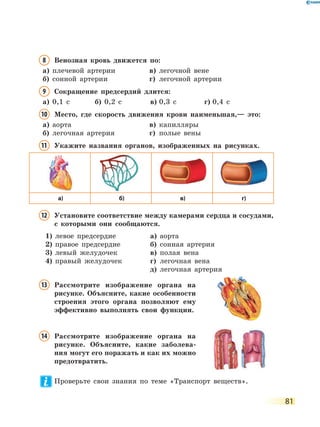 81
8 Венозная кровь движется по:
а) плечевой артерии в) легочной вене
б) сонной артерии г) легочной артерии
9 Сокращение предсердий длится:
а) 0,1 с б) 0,2 с в) 0,3 с г) 0,4 с
10 Место, где скорость движения крови наименьшая,— это:
а) аорта в) капилляры
б) легочная артерия г) полые вены
11 Укажите названия органов, изображенных на рисунках.
а) б) в) г)
12 Установите соответствие между камерами сердца и сосудами,
с которыми они сообщаются.
1) левое предсердие
2) правое предсердие
3) левый желудочек
4) правый желудочек
а) аорта
б) сонная артерия
в) полая вена
г) легочная вена
д) легочная артерия
13 Рассмотрите изображение органа на
рисунке. Объясните, какие особенности
строения этого органа позволяют ему
эффективно выполнять свои функции.
14 Рассмотрите изображение органа на
рисунке. Объясните, какие заболева-
ния могут его поражать и как их можно
предотвратить.
Проверьте свои знания по теме «Транспорт веществ».
 