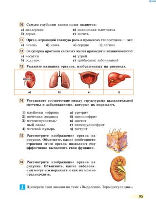 95
10 Самым глубоким слоем кожи является:
а) эпидермис в) подкожная клетчатка
б) дерма г) ноготь
11 Орган, играющий главную роль в процессах теплоотдачи,— это:
а) печень б) кожа в) сердце г) легкие
12 Закупорка протоков сальных желез приводит к возникновению:
а) чесотки в) угрей
б) родинок г) грибковых заболеваний
13 Укажите названия органов, изображенных на рисунках.
а) б) в) г)
14 Установите соответствие между структурами выделительной
системы и заболеваниями, которые их поражают.
1) клубочки нефрона
2) почечная лоханка
3) мочеиспускатель-
ный канал
4) мочевой пузырь
а) уретрит
б) пиелонефрит
в) цистит
г) гломерулонефрит
д) гастрит
15 Рассмотрите изображение органа на
рисунке. Объясните, какие особенности
строения этого органа позволяют ему
эффективно выполнять свои функции.
16 Рассмотрите изображение органа на
рисунке. Объясните, какие заболева-
ния могут его поражать и как их можно
предупредить.
Проверьте свои знания по теме «Выделение. Терморегуляция».
 