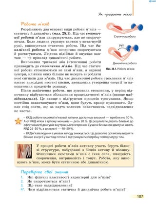 Як працюють м’язи
107
Робота м’язів
Розрізняють два основні види роботи м’язів —
статичну й динамічну (мал. 28.1). Під час статич-
ної роботи м’язи напружуються, але не скорочу-
ються. Коли людина утримує вантаж у витягнутій
руці, виконується статична робота. Під час ди-
намічної роботи м’язи почергово скорочуються
й розтягуються. Людина підіймає й опускає ван-
таж — це приклад динамічної роботи.
Виконання тривалої або інтенсивної роботи
призводить до стомлення м’язів. Під час статич-
ної роботи стомлюються не самі м’язи, а нервові
центри, клітини яких більше не можуть виробляти
нові сигнали для м’язів. Під час динамічної роботи стомлення м’язів
настає внаслідок нестачі кисню, зменшення утворення енергії та на-
копичення продуктів розпаду.
Після закінчення роботи, що зумовила стомлення, у період від-
починку відбувається збільшення працездатності м’язів (явище над-
відновлення). Це явище є підґрунтям процесів тренування. Якщо
постійно навантажувати м’язи, вони будуть краще працювати. Од-
нак слід знати, що за надто великих навантажень надвідновлення
не настає.
• ККД роботи окремої м’язової клітини достатньо високий — приблизно 50 %.
А от ККД м’яза в цілому менший — десь 20 %. Ці результати досить близькі до
ефективності двигунів внутрішнього згоряння. Сучасні бензинові двигуни мають
ККД 25–30 %, а дизельні — 40–50 %.
• ККДм’язівлюдинивумоваххолодузнижується.Цедозволяєорганізмувиділяти
більше енергії у вигляді тепла й підтримувати потрібну температуру тіла.
У процесі роботи м’язів активну участь беруть білко-
ві структури, побудовані з білків актину й міозину.
Фізичними якостями м’язів є їхня сила, швидкість
скорочення, витривалість і тонус. Робота, яку вико-
нують м’язи, може бути статичною або динамічною.
перевірте свої знання
1. Які фізичні властивості характерні для м’язів?
2. Як скорочуються м’язи?
3. Що таке надвідновлення?
4*. Чим відрізняється статична й динамічна робота м’язів?
Мал. 28.1. Робота м’язів
Статична робота
Динамічна робота
рух
 