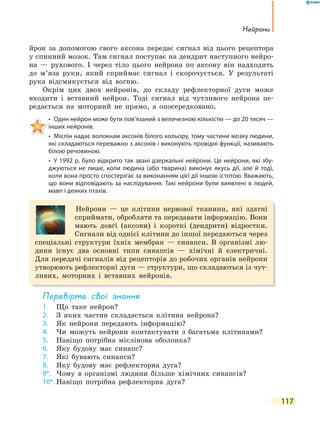 Нейрони
117
йрон за допомогою свого аксона передає сигнал від цього рецептора
у спинний мозок. Там сигнал поступає на дендрит наступного нейро-
на — рухового. І через тіло цього нейрона по аксону він надходить
до м’яза руки, який сприймає сигнал і скорочується. У результаті
рука відсмикується від вогню.
Окрім цих двох нейронів, до складу рефлекторної дуги може
входити і вставний нейрон. Тоді сигнал від чутливого нейрона пе-
редається на моторний не прямо, а опосередковано.
• Один нейрон може бути пов’язаний з величезною кількістю — до 20 тисяч —
інших нейронів.
• Мієлін надає волокнам аксонів білого кольору, тому частини мозку людини,
які складаються переважно з аксонів і виконують провідні функції, називають
білою речовиною.
• У 1992 р. було відкрито так звані дзеркальні нейрони. Це нейрони, які збу-
джуються не лише, коли людина (або тварина) виконує якусь дії, але й тоді,
коли вона просто спостерігає за виконанням цієї дії іншою істотою. Вважають,
що вони відповідають за наслідування. Такі нейрони були виявлені в людей,
мавп і деяких птахів.
Нейрони — це клітини нервової тканини, які здатні
сприймати, обробляти та передавати інформацію. Вони
мають довгі (аксони) і короткі (дендрити) відростки.
Сигнали від однієї клітини до іншої передаються через
спеціальні структури їхніх мембран — синапси. В організмі лю-
дини існує два основні типи синапсів — хімічні й електричні.
Для передачі сигналів від рецепторів до робочих органів нейрони
утворюють рефлекторні дуги — структури, що складаються із чут-
ливих, моторних і вставних нейронів.
перевірте свої знання
1. Що таке нейрон?
2. З яких частин складається клітина нейрона?
3. Як нейрони передають інформацію?
4. Чи можуть нейрони контактувати з багатьма клітинами?
5. Навіщо потрібна мієлінова оболонка?
6. Яку будову має синапс?
7. Які бувають синапси?
8. Яку будову має рефлекторна дуга?
9*. Чому в організмі людини більше хімічних синапсів?
10*. Навіщо потрібна рефлекторна дуга?
 