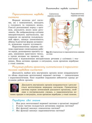 Вегетативна нервова система
127
парасимпатична нервова
система
Нервові волокна цієї систе-
ми, як і симпатичної, виходять
з головного та спинного мозку.
Ганглії розташовані поряд з орга-
ном, діяльність якого вони регу-
люють. Як нейромедіатор клітини
використовують ацетилхолін, що
справляє на організм гальмуваль-
ний ефект, знижує інтенсивність
обміну й ритмічні форми активнос-
ті, відновлює пороги чутливості.
Парасимпатична нервова сис-
тема спричиняє сповільнення робо-
ти серця, розширення просвіту су-
дин, зниження кров’яного тиску,
а також впливає на процеси, що
пов’язані з відновленням використаних речовин у клітинах і тка-
нинах. Вона активно працює в ситуаціях, коли організм перебуває
у стані спокою.
Регуляція роботи організму симпатичною й парасимпа-
тичною нервовою системою
Діяльність майже всіх внутрішніх органів може координувати-
ся обома відділами вегетативної нервової системи — симпатичним
і парасимпатичним. Таке подвійне керування забезпечує кращу ре-
гуляцію роботи органів.
Діяльність внутрішніх органів координується і регулю-
ється вегетативною нервовою системою. Симпатична
система сприяє інтенсивній діяльності організму, особ-
ливо в екстремальних умовах, а парасимпатична ак-
тивно працює в ситуаціях, коли організм перебуває у стані спокою.
перевірте свої знання
1. Яка роль вегетативної нервової системи в організмі людини?
2. З яких частин складається автономна нервова система?
3. Які функції виконує симпатична система?
4*. Які функції виконує парасимпатична система?
Мал. 35.1. Симпатична та парасимпатична нервова
система
Симпатична
нервова система
Парасимпатична
нервова система
 