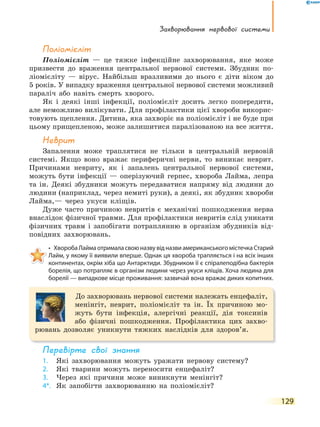 Захворювання нервової системи
129
поліомієліт
Поліомієліт — це тяжке інфекційне захворювання, яке може
призвести до враження центральної нервової системи. Збудник по-
ліомієліту — вірус. Найбільш вразливими до нього є діти віком до
5 років. У випадку враження центральної нервової системи можливий
параліч або навіть смерть хворого.
Як і деякі інші інфекції, поліомієліт досить легко попередити,
але неможливо вилікувати. Для профілактики цієї хвороби викорис-
товують щеплення. Дитина, яка захворіє на поліомієліт і не буде при
цьому прищепленою, може залишитися паралізованою на все життя.
Неврит
Запалення може траплятися не тільки в центральній нервовій
системі. Якщо воно вражає периферичні нерви, то виникає неврит.
Причинами невриту, як і запалень центральної нервової системи,
можуть бути інфекції — оперізуючий герпес, хвороба Лайма, лепра
та ін. Деякі збудники можуть передаватися напряму від людини до
людини (наприклад, через немиті руки), а деякі, як збудник хвороби
Лайма,— через укуси кліщів.
Дуже часто причиною невритів є механічні пошкодження нерва
внаслідок фізичної травми. Для профілактики невритів слід уникати
фізичних травм і запобігати потраплянню в організм збудників від-
повідних захворювань.
• ХворобаЛаймаотрималасвоюназвувідназвиамериканськогомістечкаСтарий
Лайм, у якому її виявили вперше. Однак ця хвороба трапляється і на всіх інших
континентах, окрім хіба що Антарктиди. Збудником її є спіралеподібна бактерія
борелія, що потрапляє в організм людини через укуси кліщів. Хоча людина для
борелії — випадкове місце проживання: зазвичай вона вражає диких копитних.
До захворювань нервової системи належать енцефаліт,
менінгіт, неврит, поліомієліт та ін. Їх причиною мо-
жуть бути інфекція, алергічні реакції, дія токсинів
або фізичні пошкодження. Профілактика цих захво-
рювань дозволяє уникнути тяжких наслідків для здоров’я.
перевірте свої знання
1. Які захворювання можуть уражати нервову систему?
2. Які тварини можуть переносити енцефаліт?
3. Через які причини може виникнути менінгіт?
4*. Як запобігти захворюванню на поліомієліт?
 