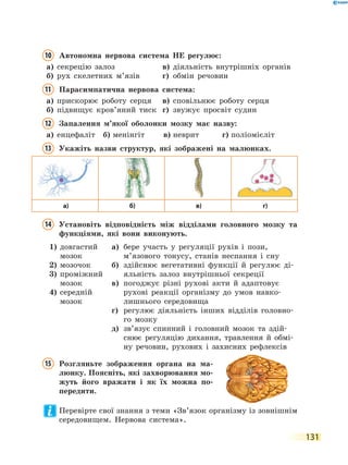 131
10 Автономна нервова система НЕ регулює:
а) секрецію залоз в) діяльність внутрішніх органів
б) рух скелетних м’язів г) обмін речовин
11 Парасимпатична нервова система:
а) прискорює роботу серця в) сповільнює роботу серця
б) підвищує кров’яний тиск г) звужує просвіт судин
12 Запалення м’якої оболонки мозку має назву:
а) енцефаліт б) менінгіт в) неврит г) поліомієліт
13 Укажіть назви структур, які зображені на малюнках.
а) б) в) г)
14 Установіть відповідність між відділами головного мозку та
функціями, які вони виконують.
1) довгастий
мозок
2) мозочок
3) проміжний
мозок
4) середній
мозок
а) бере участь у регуляції рухів і пози,
м’язового тонусу, станів неспання і сну
б) здійснює вегетативні функції й регулює ді-
яльність залоз внутрішньої секреції
в) погоджує різні рухові акти й адаптовує
рухові реакції організму до умов навко-
лишнього середовища
г) регулює діяльність інших відділів головно-
го мозку
д) зв’язує спинний і головний мозок та здій-
снює регуляцію дихання, травлення й обмі-
ну речовин, рухових і захисних рефлексів
15 Розгляньте зображення органа на ма-
люнку. Поясніть, які захворювання мо-
жуть його вражати і як їх можна по-
передити.
Перевірте свої знання з теми «Зв’язок організму із зовнішнім
середовищем. Нервова система».
 