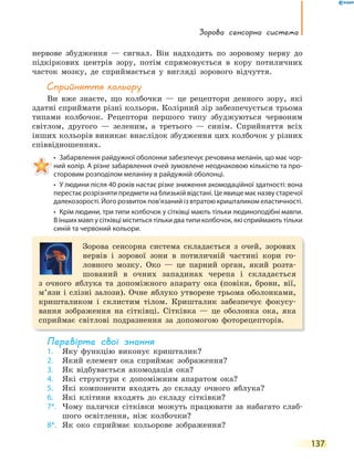 Зорова сенсорна система
137
нервове збудження — сигнал. Він надходить по зоровому нерву до
підкіркових центрів зору, потім спрямовується в кору потиличних
часток мозку, де сприймається у вигляді зорового відчуття.
сприйняття кольору
Ви вже знаєте, що колбочки — це рецептори денного зору, які
здатні сприймати різні кольори. Колірний зір забезпечується трьома
типами колбочок. Рецептори першого типу збуджуються червоним
світлом, другого — зеленим, а третього — синім. Сприйняття всіх
інших кольорів виникає внаслідок збудження цих колбочок у різних
співвідношеннях.
• Забарвлення райдужної оболонки забезпечує речовина меланін, що має чор-
ний колір. А різне забарвлення очей зумовлене неоднаковою кількістю та про-
сторовим розподілом меланіну в райдужній оболонці.
• У людини після 40 років настає різке зниження акомодаційної здатності: вона
перестає розрізняти предмети на близькій відстані. Це явище має назву старечої
далекозорості. Його розвиток пов’язаний із втратою кришталиком еластичності.
• Крім людини, три типи колбочок у сітківці мають тільки людиноподібні мавпи.
В інших мавп у сітківці міститься тільки два типи колбочок, які сприймають тільки
синій та червоний кольори.
Зорова сенсорна система складається з очей, зорових
нервів і зорової зони в потиличній частині кори го-
ловного мозку. Око — це парний орган, який розта-
шований в очних западинах черепа і складається
з очного яблука та допоміжного апарату ока (повіки, брови, вії,
м’язи і слізні залози). Очне яблуко утворене трьома оболонками,
кришталиком і склистим тілом. Кришталик забезпечує фокусу-
вання зображення на сітківці. Сітківка — це оболонка ока, яка
сприймає світлові подразнення за допомогою фоторецепторів.
перевірте свої знання
1. Яку функцію виконує кришталик?
2. Який елемент ока сприймає зображення?
3. Як відбувається акомодація ока?
4. Які структури є допоміжним апаратом ока?
5. Які компоненти входять до складу очного яблука?
6. Які клітини входять до складу сітківки?
7*. Чому палички сітківки можуть працювати за набагато слаб-
шого освітлення, ніж колбочки?
8*. Як око сприймає кольорове зображення?
 