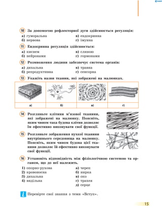 15
10 За допомогою рефлекторної дуги здійснюється регуляція:
а) гуморальна в) ендокринна
б) нервова г) імунна
11 Ендокринна регуляція здійснюється:
а) киснем в) слиною
б) нейронами г) гормонами
12 Розмноження людини забезпечує система органів:
а) дихальна в) травна
б) репродуктивна г) сенсорна
13 Укажіть назви тканин, які зображені на малюнках.
а) б) в) г)
14 Розгляньте клітини м’язової тканини,
які зображені на малюнку. Поясніть,
яким чином така будова клітин дозволяє
їм ефективно виконувати свої функції.
15 Розгляньте зображення пухкої тканини
внутрішнього середовища на малюнку.
Поясніть, яким чином будова цієї тка-
нини дозволяє їй ефективно виконувати
свої функції.
16 Установіть відповідність між фізіологічною системою та ор-
ганом, що до неї належить.
1) опорно-рухова а) череп
2) кровоносна б) нирка
3) дихальна в) око
4) видільна г) трахея
д) серце
Перевірте свої знання з теми «Вступ».
 