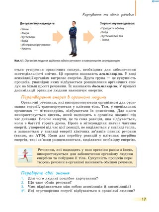 Харчування та обмін речовин
17
ється утворення органічних сполук, необхідних для забезпечення
життєдіяльності клітин. Ці процеси називають асиміляцією. У ході
асиміляції організм витрачає енергію. Друга група — це сукупність
процесів, унаслідок яких відбувається розщеплення органічних спо-
лук на більш прості речовини. Їх називають дисиміляцією. У процесі
дисиміляції організм людини накопичує енергію.
перетворення енергії в організмі людини
Органічні речовини, які використовуються організмом для отри-
мання енергії, транспортуються у клітини тіла. Там, у спеціальних
органелах — мітохондріях, відбувається їх окиснення. Для цього
використовується кисень, який надходить в організм людини під
час дихання. Власне кажучи, це та сама реакція, яка відбувається,
коли в багатті горять дрова. Проте в мітохондріях значна частина
енергії, утвореної під час цієї реакції, не виділяється у вигляді тепла,
а запасається у вигляді енергії хімічних зв’язків певних речовин
(таких, як АТФ). Коли для перебігу реакцій у клітинах потрібна
енергія, такі зв’язки розщеплюються, виділяючи необхідну енергію.
Речовини, які надходять у наш організм разом з їжею,
використовуються для забезпечення організму людини
енергією та побудови її тіла. Сукупність процесів пере-
творень речовин в організмі називають обміном речовин.
перевірте свої знання
1. Для чого людині потрібне харчування?
2. Що таке обмін речовин?
3. Чим відрізняються між собою асиміляція й дисиміляція?
4*. Які перетворення енергії відбуваються в організмі людини?
Мал. 4.1. Організм людини здійснює обмін речовин з навколишнім середовищем
До організму надходять:
• Білки
• Жири
• Вуглеводи
• Вода
• Мінеральні речовини
• Кисень
з організму виводяться:
• Продукти обміну
• Вода
• Вуглекислий газ
• Тепло
 