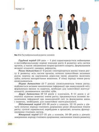 теМа 11
200
Грудний період (10 днів — 1 рік) характеризується найвищими
в постембріональному періоді темпами росту й розвитку всіх систем
органів, а також зміцненням опорно-рухового апарату, формуванням
великої кількості умовних рефлексів.
Раннє дитинство (1–3 роки): спостерігаються високі темпи рос-
ту й розвитку всіх систем органів; початок самостійних активних
рухів; перехід на харчування дорослою їжею; розвиток молочних
зубів; початок використання мовлення. У кінці періоду темпи росту
вповільнюються.
Перше дитинство (4–7 років): уповільнюються темпи росту;
відбувається активне накопичення інформації про навколишній світ;
формуються вміння та навички, необхідні для самостійної життєді-
яльності; розвиваються постійні зуби.
Друге дитинство (8–12 років у хлопчиків, 8–11 років у ді-
вчаток): відносно невисокі темпи росту; продовжується активне на-
копичення інформації про навколишній світ та формування вмінь
і навичок, необхідних для самостійної життєдіяльності.
Підлітковий період (13–16 років у хлопців, 12–15 років у дів-
чат): початок періоду статевого дозрівання; різке збільшення темпів
росту; суттєві гормональні перебудови в організмі; початок функці-
онування статевих систем.
Юнацький період (17–21 рік у хлопців, 16–20 років у дівчат):
завершення періоду статевого дозрівання; зменшення темпів розвитку
Мал. 57.2. Постембріональний розвиток чоловіків
 