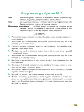 217
Лабораторне дослідження № 7
Тема.	 Вивчення будови спинного та головного мозку людини (за му-
ляжами, моделями, пластинчастими препаратами)
Мета:	 за моделями, муляжами і пластинчастими препаратами вивчити
будову головного та спинного мозку людини.
Обладнання й матеріали:	 розбірні моделі головного та спинного мозку
людини, муляжі, пластинчасті препарати поздовжнього й по-
перечного розрізів мозку людини, зошит, підручник.
Хід роботи
	1.	 Розгляньте модель спинного мозку. Знайдіть місця виходу спинномоз-
кових нервів.
	2.	 Розгляньте на пластинчастих препаратах розташування сірої та білої
речовин у спинному мозку.
	3.	 Розділіть модель головного мозку на дві половини. Відшукайте пере-
городку (мозолисте тіло).
	4.	 Знайдіть на одній з половин моделі довгастий мозок, міст, середній
і  проміжний мозок.
	5.	 Розгляньте на пластинчастих препаратах розташування сірої та білої
речовин у головному мозку.
	6.	 Знайдіть на моделі мозочок, розгляньте в ньому розташування сірої та
білої речовин.
	7.	 На моделі й муляжі кінцевого мозку знайдіть борозни, звивини, а та-
кож частки кори головного мозку.
	8.	 Знайдіть на нижній поверхні моделі головного мозку місця відходження
черепно-мозкових нервів.
	9.	 Запишіть у зошит свої спостереження за кожним пунктом.
	10.	 Зробіть висновки, де вкажіть, з яких відділів складається мозок лю-
дини, як розподіляються біла й сіра речовини в головному і спинному
мозку, яке біологічне значення звивистої будови кори великих півкуль.
Запишіть у зошит.
 