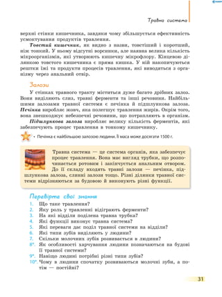 травна система
31
верхні стінки кишечника, завдяки чому збільшується ефективність
усмоктування продуктів травлення.
Товстий кишечник, як видно з назви, товстіший і коротший,
ніж тонкий. У ньому відсутні ворсинки, але наявна велика кількість
мікроорганізмів, які утворюють кишечну мікрофлору. Кінцевою ді-
лянкою товстого кишечника є пряма кишка. У ній накопичуються
рештки їжі та продукти процесів травлення, які виводяться з орга-
нізму через анальний отвір.
Залози
У стінках травного тракту міститься дуже багато дрібних залоз.
Вони виділяють слиз, травні ферменти та інші речовини. Найбіль-
шими залозами травної системи є печінка й підшлункова залоза.
Печінка виробляє жовч, яка полегшує травлення жирів. Окрім того,
вона знешкоджує небезпечні речовини, що потрапляють в організм.
Підшлункова залоза виробляє велику кількість ферментів, які
забезпечують процес травлення в тонкому кишечнику.
• Печінка є найбільшою залозою людини. Її маса може досягати 1500 г.
Травна система — це система органів, яка забезпечує
процес травлення. Вона має вигляд трубки, що розпо-
чинається ротовим і закінчується анальним отвором.
До її складу входять травні залози — печінка, під-
шлункова залоза, слинні залози тощо. Різні ділянки травної сис-
теми відрізняються за будовою й виконують різні функції.
перевірте свої знання
1. Що таке травлення?
2. Яку роль у травленні відіграють ферменти?
3. На які відділи поділена травна трубка?
4. Які функції виконує травна система?
5. Які переваги дає поділ травної системи на відділи?
6. Які типи зубів виділяють у людини?
7. Скільки молочних зубів розвивається в людини?
8*. Як особливості харчування людини позначаються на будові
її травної системи?
9*. Навіщо людині потрібні різні типи зубів?
10*. Чому в людини спочатку розвиваються молочні зуби, а по-
тім — постійні?
 