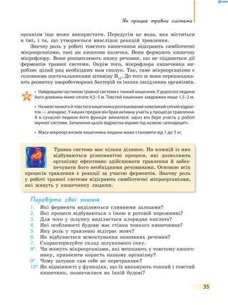 Як працює травна система
35
організм іще може використати. Передусім це вода, яка міститься
в їжі, і та, що утворюється внаслідок реакцій травлення.
Значну роль у роботі товстого кишечника відіграють симбіотичні
мікроорганізми, такі як кишкова паличка. Вони формують кишечну
мікрофлору. Вони розщеплюють низку речовин, що не піддаються дії
ферментів травної системи. Окрім того, мікрофлора кишечника ви-
робляє цілий ряд необхідних нам сполук. Так, саме мікроорганізми є
головними постачальниками вітаміну В12
. До того ж вони перешкоджа-
ють розвитку хвороботворних бактерій та інших шкідливих організмів.
• Найдовшою частиною травної системи є тонкий кишечник. У дорослої людини
його довжина може сягати 4,5–5 м. Товстий кишечник завдовжки лише 1,5–2 м.
• На межі тонкого й товстого кишечника розташований невеликий сліпий відрос-
ток — апендикс. У наших предків він брав активну участь у процесах травлення.
А в сучасної людини його функція змінилася: зараз він бере участь у роботі
імунної системи. Запалення цього відростка відоме під назвою «апендицит».
• Маса мікроорганізмів кишечника людини може становити від 1 до 3 кг.
Травна система має кілька ділянок. На кожній із них
відбуваються різноманітні процеси, які дозволяють
організму ефективно здійснювати травлення й забез-
печувати його необхідними речовинами. Основою всіх
процесів травлення є реакції за участю ферментів. Значну роль
у роботі травної системи відіграють симбіотичні мікроорганізми,
які живуть у кишечнику людини.
перевірте свої знання
1. Які ферменти виділяються слинними залозами?
2. Які процеси відбуваються з їжею в ротовій порожнині?
3. Для чого у шлунку виділяється хлоридна кислота?
4. Які особливості будови має стінка тонкого кишечника?
5. Яку роль у травленні відіграє жовч?
6. Як відбувається всмоктування поживних речовин?
7. Схарактеризуйте склад шлункового соку.
8*. Чи можуть мікроорганізми, які мешкають у товстому кишеч-
нику, приносити користь нашому організму?
9*. Чому шлунок сам себе не перетравлює?
10*. Як відмінності у функціях, що їх виконують тонкий і товстий
кишечник, позначилися на їхній будові?
 