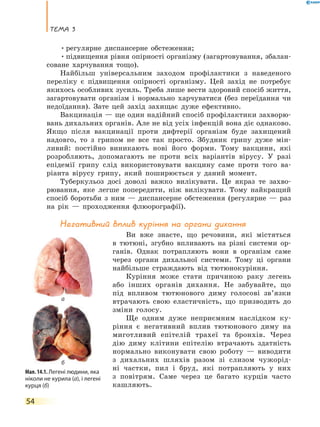 Тема 3
54
•	регулярне диспансерне обстеження;
•	підвищення рівня опірності організму (загартовування, збалан-
соване харчування тощо).
Найбільш універсальним заходом профілактики з наведеного
переліку є підвищення опірності організму. Цей захід не потребує
якихось особливих зусиль. Треба лише вести здоровий спосіб життя,
загартовувати організм і нормально харчуватися (без переїдання чи
недоїдання). Зате цей захід захищає дуже ефективно.
Вакцинація — ще один надійний спосіб профілактики захворю-
вань дихальних органів. Але не від усіх інфекцій вона діє однаково.
Якщо після вакцинації проти дифтерії організм буде захищений
надовго, то з грипом не все так просто. Збудник грипу дуже мін-
ливий: постійно виникають нові його форми. Тому вакцини, які
розробляють, допомагають не проти всіх варіантів вірусу. У разі
епідемії грипу слід використовувати вакцину саме проти того ва-
ріанта вірусу грипу, який поширюється у даний момент.
Туберкульоз досі доволі важко вилікувати. Це якраз те захво-
рювання, яке легше попередити, ніж вилікувати. Тому найкращий
спосіб боротьби з ним — диспансерне обстеження (регулярне — раз
на рік — проходження флюорографії).
Негативний вплив куріння на органи дихання
Ви вже знаєте, що речовини, які містяться
в тютюні, згубно впливають на різні системи ор-
ганів. Однак потрапляють вони в організм саме
через органи дихальної системи. Тому ці органи
найбільше страждають від тютюнокуріння.
Куріння може стати причиною раку легень
або інших органів дихання. Не забувайте, що
під впливом тютюнового диму голосові зв’язки
втрачають свою еластичність, що призводить до
зміни голосу.
Ще одним дуже неприємним наслідком ку-
ріння є негативний вплив тютюнового диму на
миготливий епітелій трахеї та бронхів. Через
дію диму клітини епітелію втрачають здатність
нормально виконувати свою роботу — виводити
з дихальних шляхів разом зі слизом чужорід-
ні частки, пил і бруд, які потрапляють у них
з повітрям. Саме через це багато курців часто
кашляють.
Мал. 14.1. Легені людини, яка
ніколи не курила (а), і легені
курця (б)
а
б
 