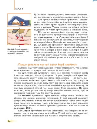 Тема 4
74
Ці клітини знешкоджують небезпечні речовини,
які потрапляють в організм людини разом з їжею.
Але кров у печінку також приносить і звичай-
на артерія. Ця артерія, як і ворітна вена, розпада-
ється на більш дрібні судини, що напряму злива-
ються з венами. Таким чином, до клітин печінки
надходить не чиста артеріальна, а змішана кров.
Ще однією незвичайною структурою, утворе-
ною за допомогою кровоносних судин, є анастомо-
зи. Анастомози — це з’єднання між артеріями й
венами, які сполучають їх напряму, без утворення
капілярної сітки. Дуже багато анастомозів є у шкі-
рі. Це дозволяє організму ефективно регулювати
втрати тепла. Якщо тепла в організмі забагато, то
кров тече з артерій у вени через капіляри й віддає
зайве тепло повітрю. А якщо тепла мало, то кров
прямує по анастомозах у вени, минаючи капіляри
шкіри й, відповідно, уникаючи пов’язаних із цим
утрат тепла.
Перша допомога під час різних видів кровотеч
Залежно від типу пошкоджених судин розрізняють три основні
види кровотеч — артеріальні, венозні й капілярні.
За артеріальної кровотечі кров має яскраво-червоний колір
і витікає швидко, часто пульсуючи. У разі артеріальної кровотечі
слід накласти джгут вище від місця крововиливу — це дасть змо-
гу зупинити витікання крові. Однак слід пам’ятати, що джгут не
можна накладати на голе тіло, тому під нього слід підкласти якусь
тканину. Окрім того, обов’язково необхідно прикріпити записку, де
має бути вказаний точний час, коли джгут було накладено. Це дуже
важливо, адже раз на годину джгут потрібно послаблювати, щоб не
залишити тканини тіла без доступу крові.
За венозної кровотечі кров темного забарвлення, витікає по-
вільно, але досить широким струменем. У разі венозної кровотечі
джгут накладають нижче від місця крововиливу, адже саме звідти
кров рухається по венах. Проте в багатьох випадках у разі венозного
крововиливу можна обійтися простою здавлювальною пов’язкою на
рані (мал. 19.3).
Капілярна кровотеча не така інтенсивна, як артеріальна чи ве-
нозна, і часто припиняється самостійно. У разі капілярної кровотечі
можна обійтися звичайною пов’язкою зі стерильного бинта.
Мал. 19.3. Перша допомога
в разі артеріальної (а) і ве-
нозної (б) кровотеч
а
б
 