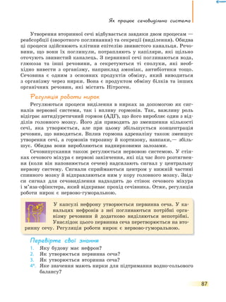 Як працює сечовидільна система
87
Утворення вторинної сечі відбувається завдяки двом процесам —
реабсорбції (зворотного поглинання) та секреції (виділення). Обидва
ці процеси здійснюють клітини епітелію звивистого канальця. Речо-
вини, що вони їх поглинули, потрапляють у капіляри, які щільно
оточують звивистий каналець. З первинної сечі поглинаються вода,
глюкоза та інші речовини, а секретуються ті сполуки, які необ-
хідно вивести з організму, наприклад амоніак, антибіотики тощо.
Сечовина є одним з основних продуктів обміну, який виводиться
з організму через нирки. Вона є продуктом обміну білків та інших
органічних речовин, які містять Нітроген.
Регуляція роботи нирок
Регулюються процеси виділення в нирках за допомогою як сиг-
налів нервової системи, так і впливу гормонів. Так, важливу роль
відіграє антидіуретичний гормон (АДГ), що його виробляє один з від-
ділів головного мозку. Його дія приводить до зменшення кількості
сечі, яка утворюється, але при цьому збільшується концентрація
речовин, що виводяться. Вплив гормона адреналіну також зменшує
утворення сечі, а гормонів тирозину й кортизону, навпаки,— збіль-
шує. Обидва вони виробляються наднирковими залозами.
Сечовипускання також регулюється нервовою системою. У стін-
ках сечового міхура є нервові закінчення, які під час його розтягнен-
ня (коли він наповнюється сечею) надсилають сигнал у центральну
нервову систему. Сигнали сприймаються центром у нижній частині
спинного мозку й відправляються ним у кору головного мозку. Звід-
си сигнал для сечовиділення надходить до стінок сечового міхура
і м’яза-сфінктера, який відкриває прохід сечівника. Отже, регуляція
роботи нирок є нервово-гуморальною.
У капсулі нефрону утворюється первинна сеча. У ка-
нальцях нефронів з неї поглинаються потрібні орга-
нізму речовини й додатково виділяються непотрібні.
Унаслідок цього первинна сеча перетворюється на вто-
ринну сечу. Регуляція роботи нирок є нервово-гуморальною.
перевірте свої знання
1. Яку будову має нефрон?
2. Як утворюється первинна сеча?
3. Як утворюється вторинна сеча?
4*. Яке значення мають нирки для підтримання водно-сольового
балансу?
 